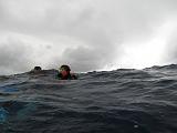 Isla del Coco - 155
